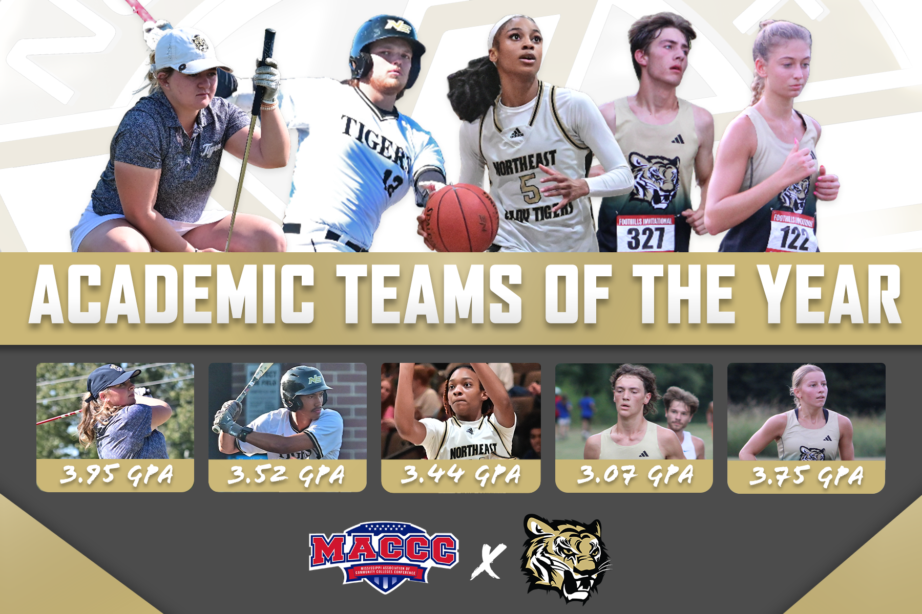 The Northeast women's golf, baseball, women's basketball, men's cross country and women's cross country teams were recognized as MACCC Academic Teams of the Year.